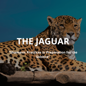 THE JAGUAR
