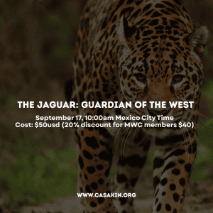 The Jaguar: Guardian of the West