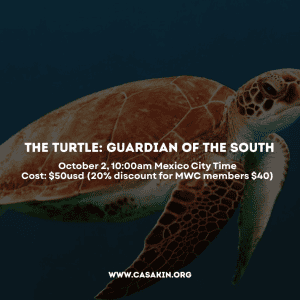 The Turtle: Guardian of the South