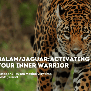 Balam/Jaguar: Activating Your Inner Warrior 