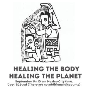 Healing the Body, Healing the Planet