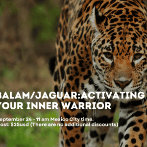 Balam/Jaguar: Activating Your Inner Warrior 